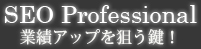 seo Professional業績アップを狙う鍵！大阪、神戸のSEO会社によるホームページ作成